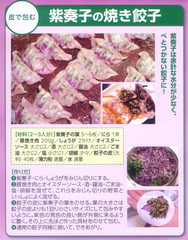紫奏子の焼き餃子