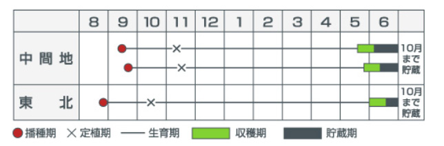 作型表