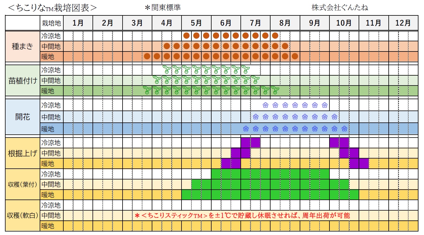 作型表