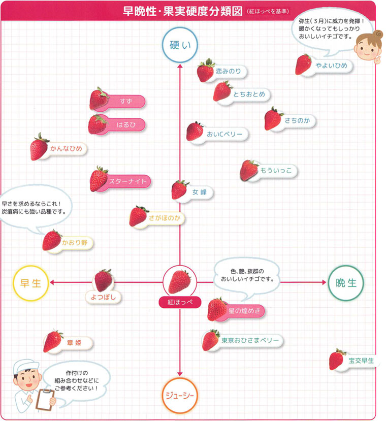 分類図