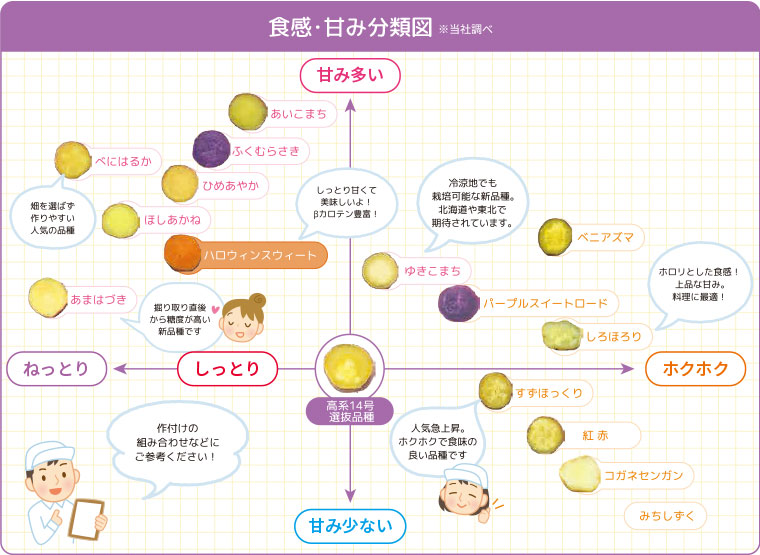 分類図