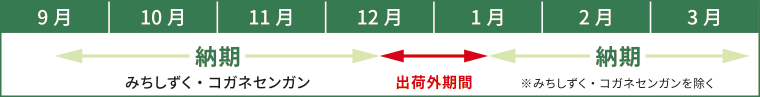 出荷スケジュール
