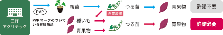 登録品種　自家増殖許諾