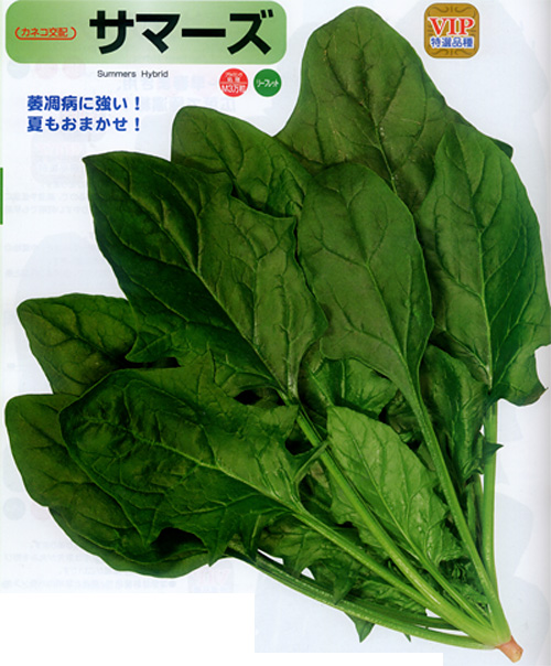 サマーズ ほうれん草 E 種や 国内最大級の野菜種 花種 苗 農業資材の販売店 サマーズ ほうれん草 E 種や 国内最大級の野菜種 花種 苗 農業資材の販売店