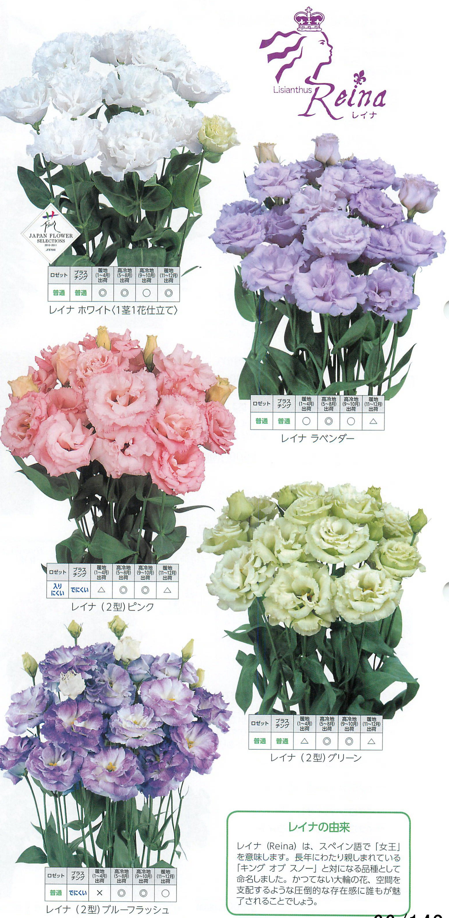 レイナシリーズ トルコギキョウ E 種や 国内最大級の野菜種 花種 苗 農業資材の販売店 レイナシリーズ トルコギキョウ E 種や 国内最大級の野菜種 花種 苗 農業資材の販売店