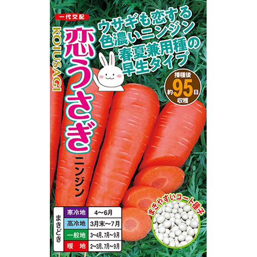 Ｂ品特価★三重県赤目産 味・香り・色濃厚 甘ぁいにんじん恋うさぎ　３キロ