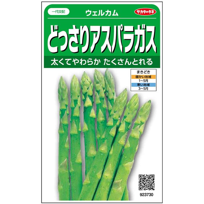 ウェルカム アスパラガス E 種や 国内最大級の野菜種 花種 苗 農業資材の販売店