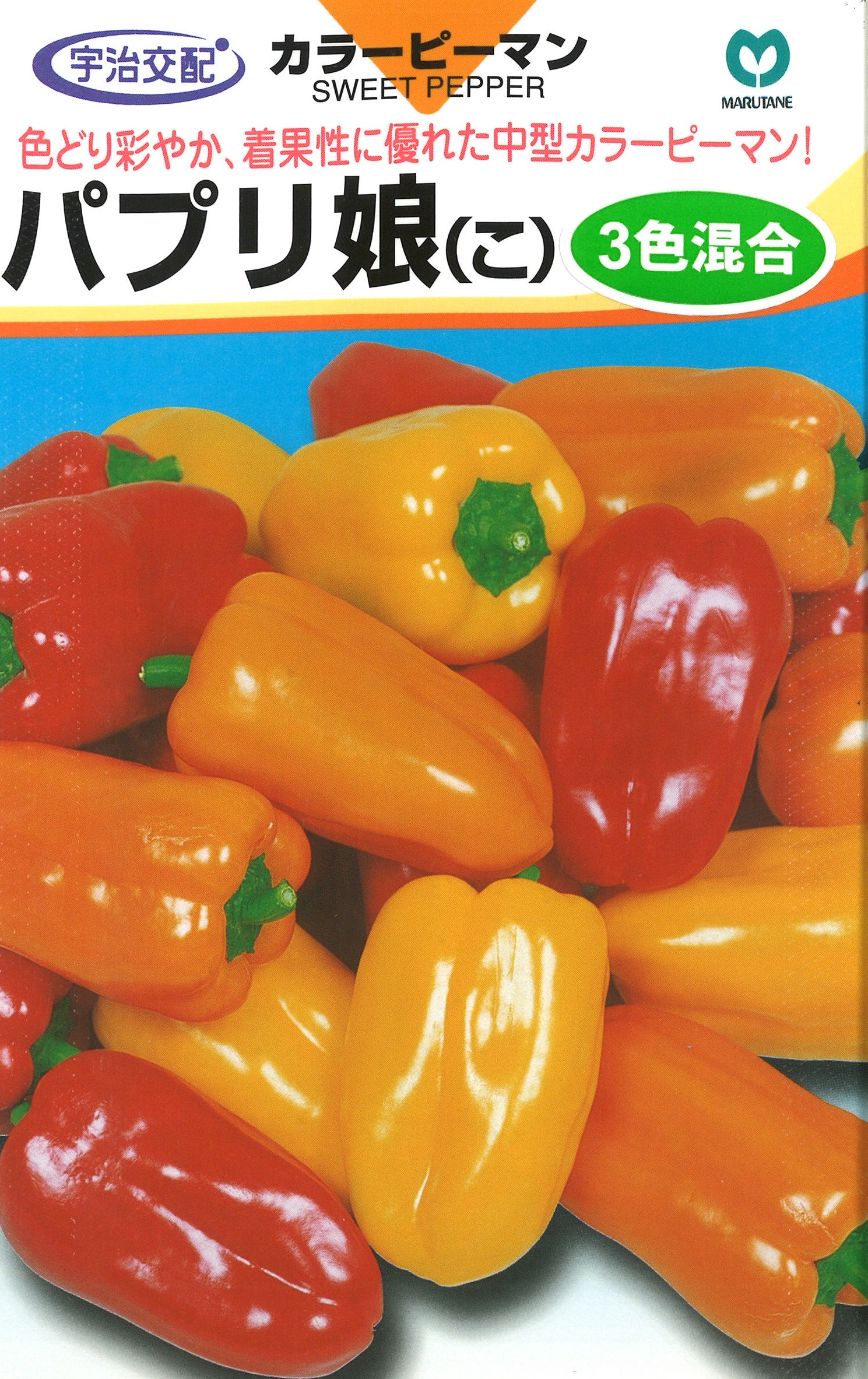 パプリ娘[ピーマン・パプリカ] - e-種や｜国内最大級の野菜種・花種