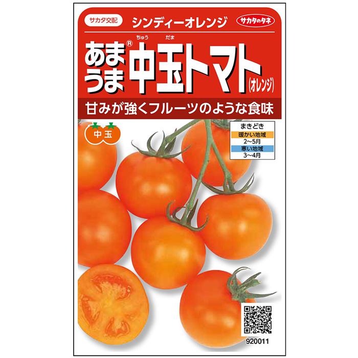 シンディーオレンジ[トマト] - e-種や｜国内最大級の野菜種・花種・苗 