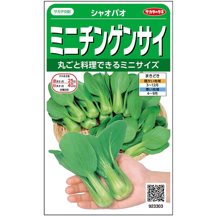 シャオパオ[チンゲンサイ] - e-種や｜国内最大級の野菜種・花種