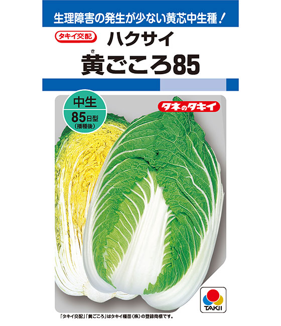超美品の 白菜 種子 ＣＲお黄にいり 1.8ml ハクサイ