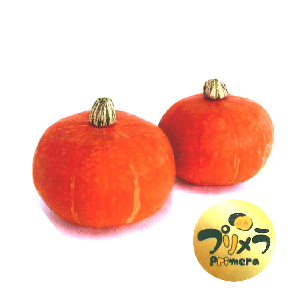 プリメラレッド かぼちゃ E 種や 国内最大級の野菜種 花種 苗 農業資材の販売店