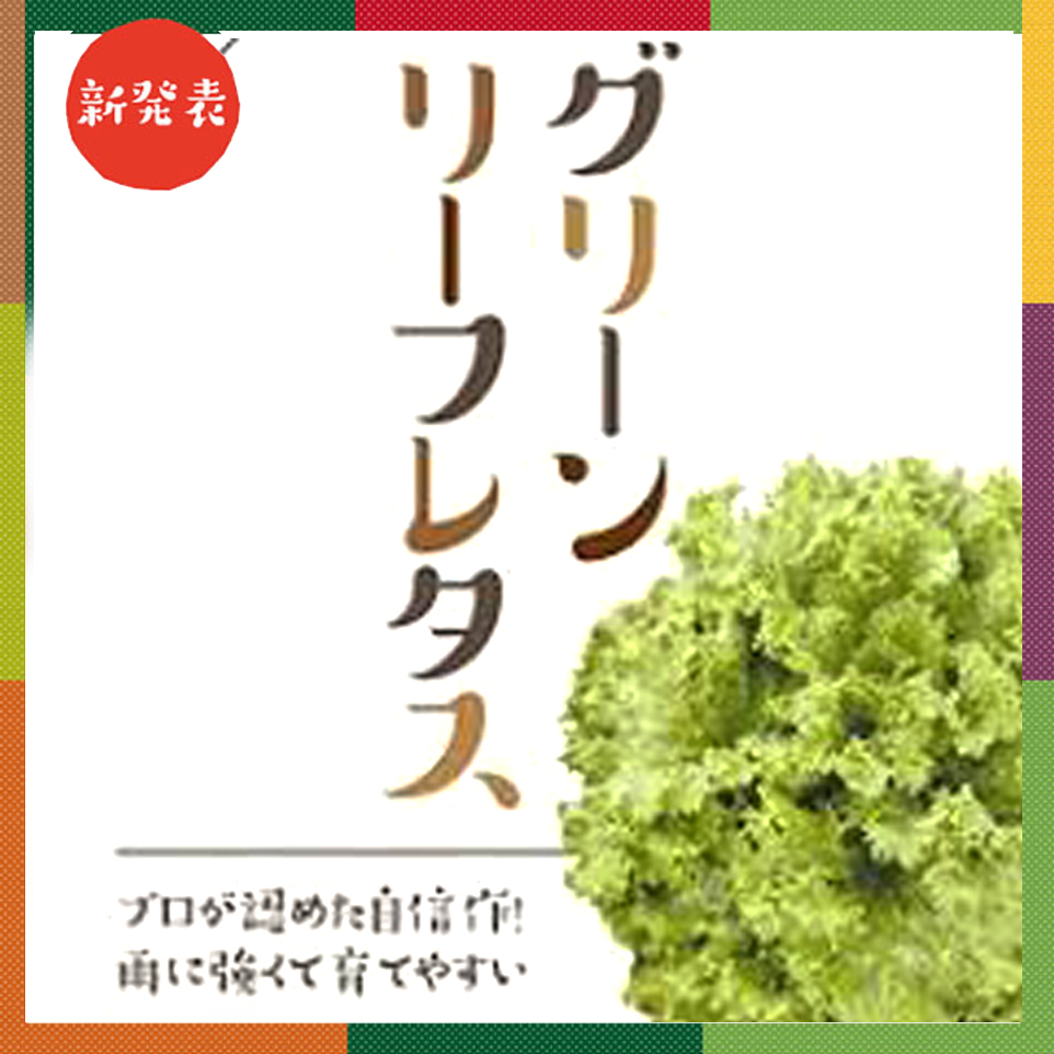 グリーンリーフ レタス ベイファームシリーズ E 種や 国内最大級の野菜種 花種 苗 農業資材の販売店