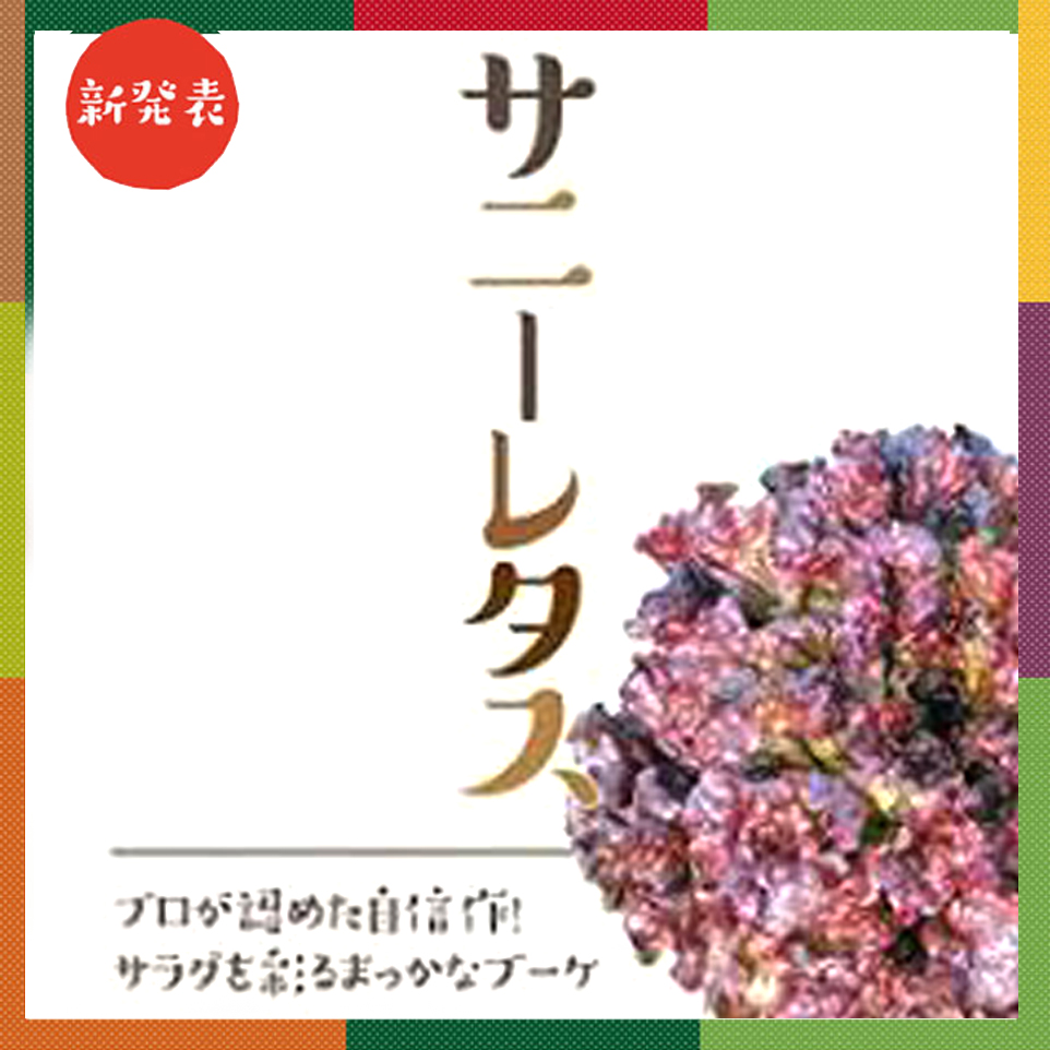サニーレタス レタス ベイファームシリーズ E 種や 国内最大級の野菜種 花種 苗 農業資材の販売店 サニーレタス レタス ベイファームシリーズ E 種や 国内最大級の野菜種 花種 苗 農業資材の販売店