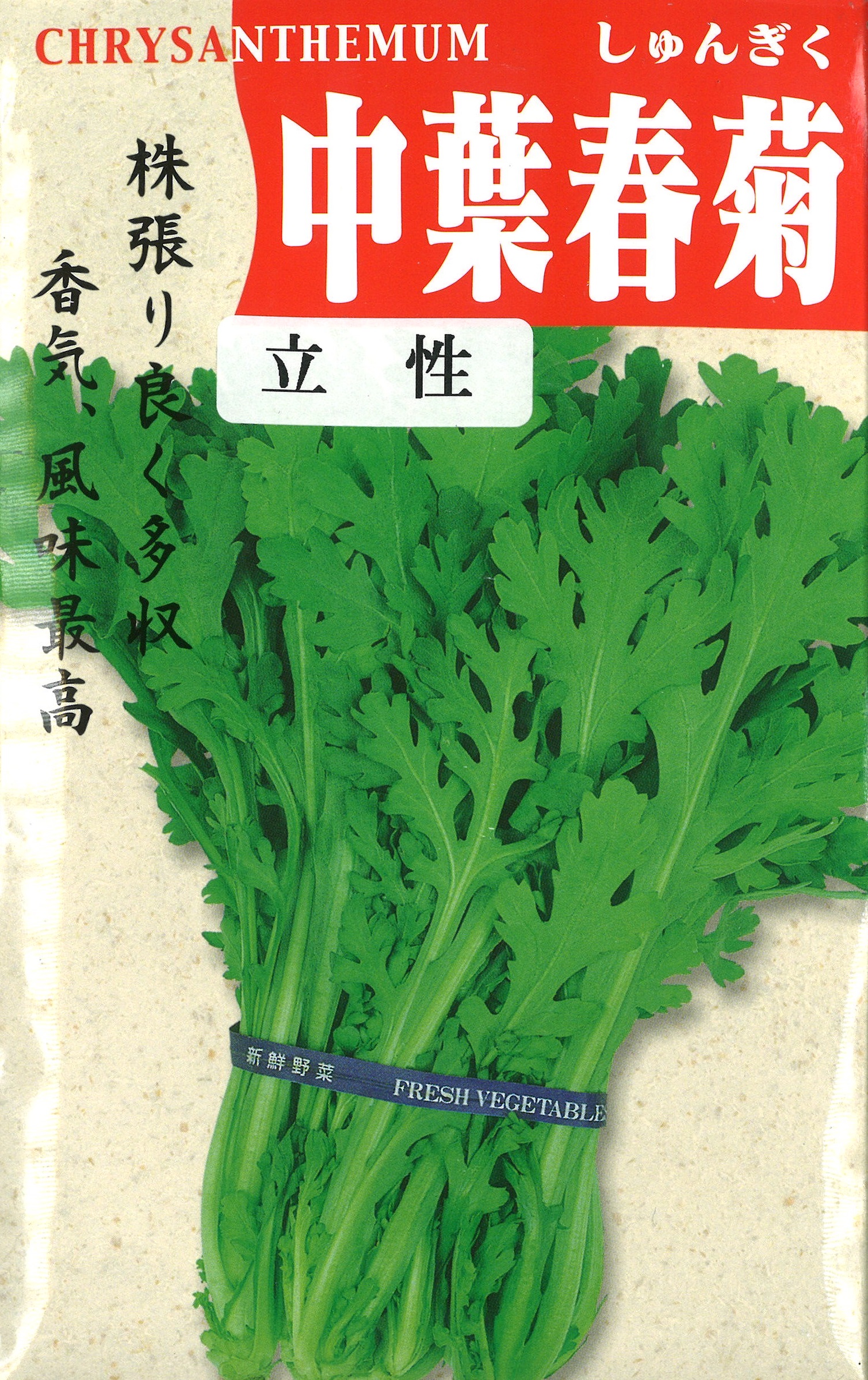 立性中葉春菊K[春菊] - e-種や｜国内最大級の野菜種・花種・苗・農業