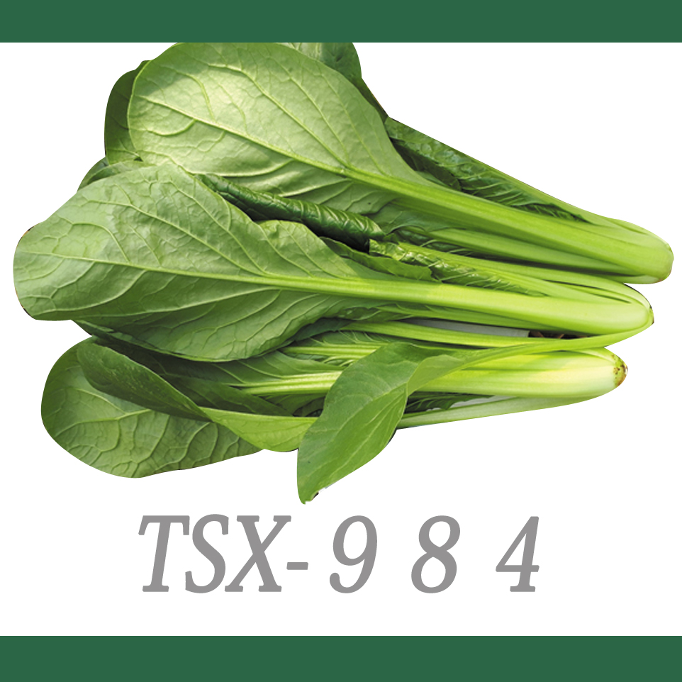Tsx 984 小松菜 E 種や 国内最大級の野菜種 花種 苗 農業資材の販売店