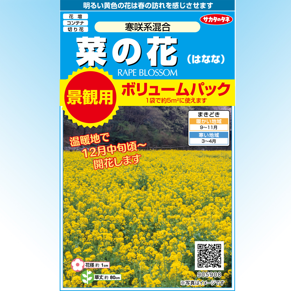 景観用大袋 菜の花 寒咲系混合 E 種や 国内最大級の野菜種 花種 苗 農業資材の販売店