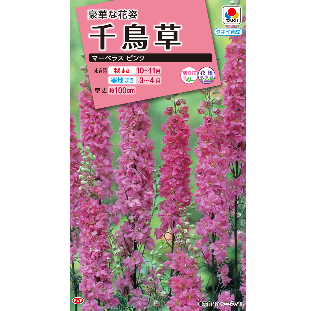 マーベラス 千鳥草 E 種や 国内最大級の野菜種 花種 苗 農業資材の販売店