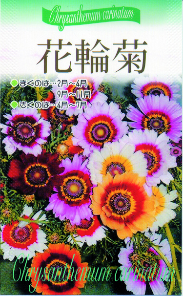花輪菊 E 種や 国内最大級の野菜種 花種 苗 農業資材の販売店