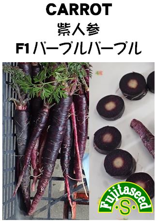 紫人参 F1パープルパープル 人参 E 種や 国内最大級の野菜種 花種 苗 農業資材の販売店
