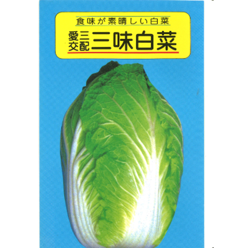 三味・改[白菜] - e-種や｜国内最大級の野菜種・花種・苗・農業資材の