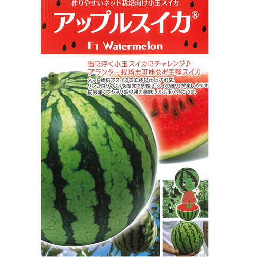 アップルスイカ[西瓜] - e-種や｜国内最大級の野菜種・花種・苗