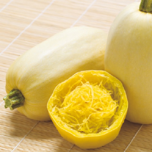 金糸瓜 そうめん南瓜 南瓜 カボチャ タネ E 種や 国内最大級の野菜種 花種 苗 農業資材の販売店 金糸瓜 そうめん南瓜 南瓜 カボチャ タネ E 種や 国内最大級の野菜種 花種 苗 農業資材の販売店