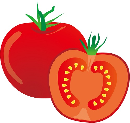 桃太郎コルト トマト E 種や 国内最大級の野菜種 花種 苗 農業資材の販売店