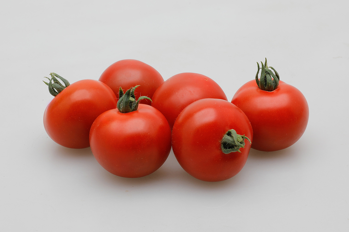 TYレッドオーレ[トマト] - e-種や｜国内最大級の野菜種・花種・苗・農業資材の販売店