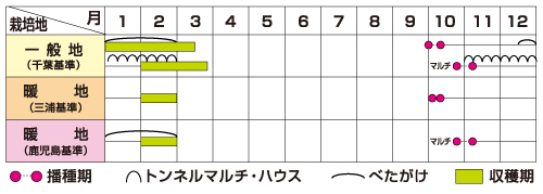 作型表