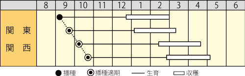 作型表