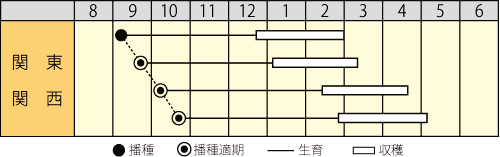 作型表