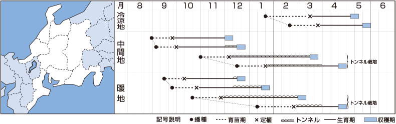 作型表