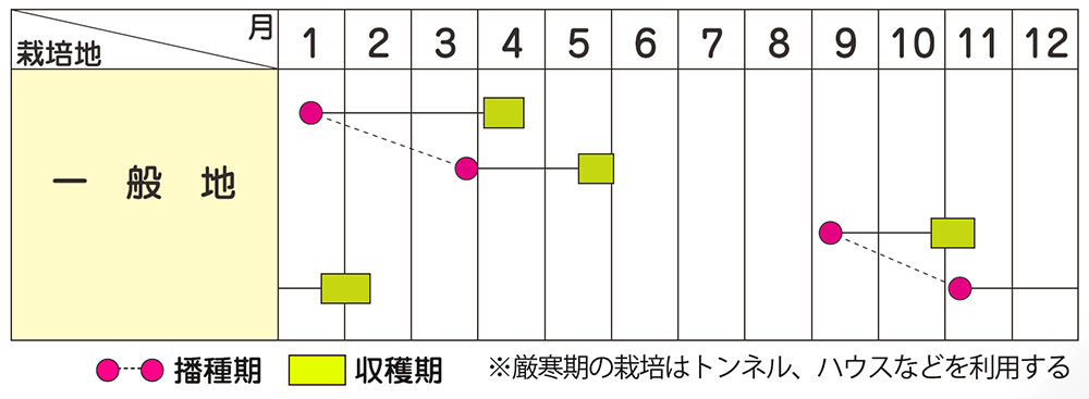 作型表