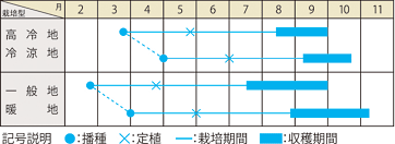 春植え温度管理理想目安