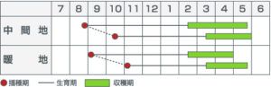 作型表