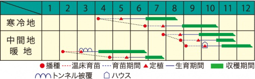 作型表