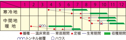 作型表