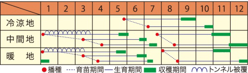 作型表