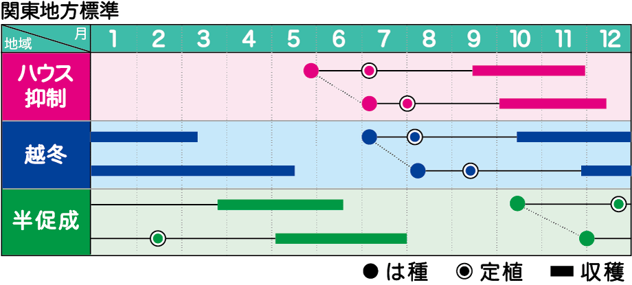 作型表