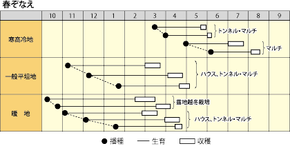 作型表
