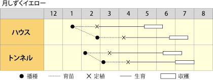 作型表