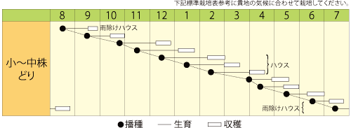 作型表