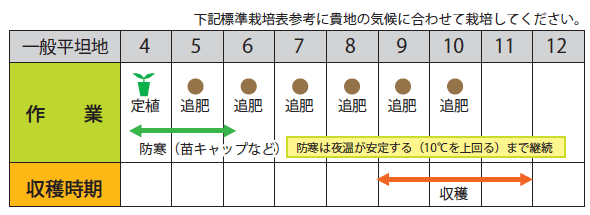 作型表