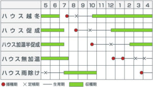 作型表