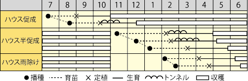 作型表