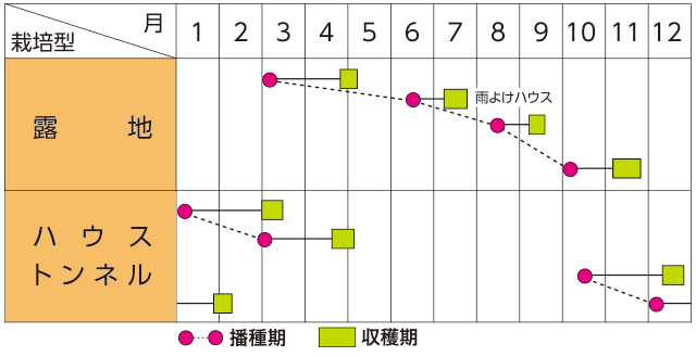 作型表