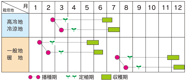 作型表