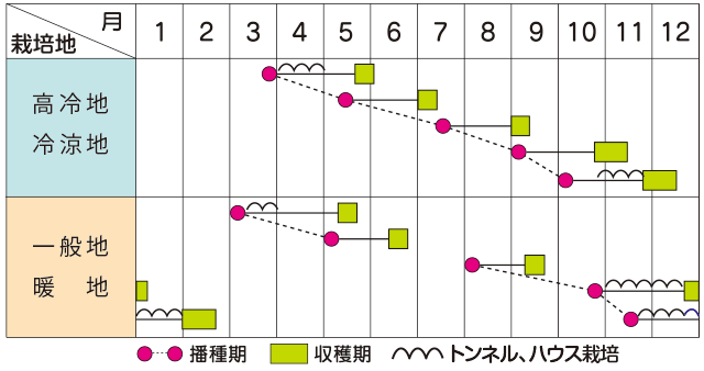 作型表