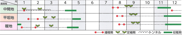 作型表